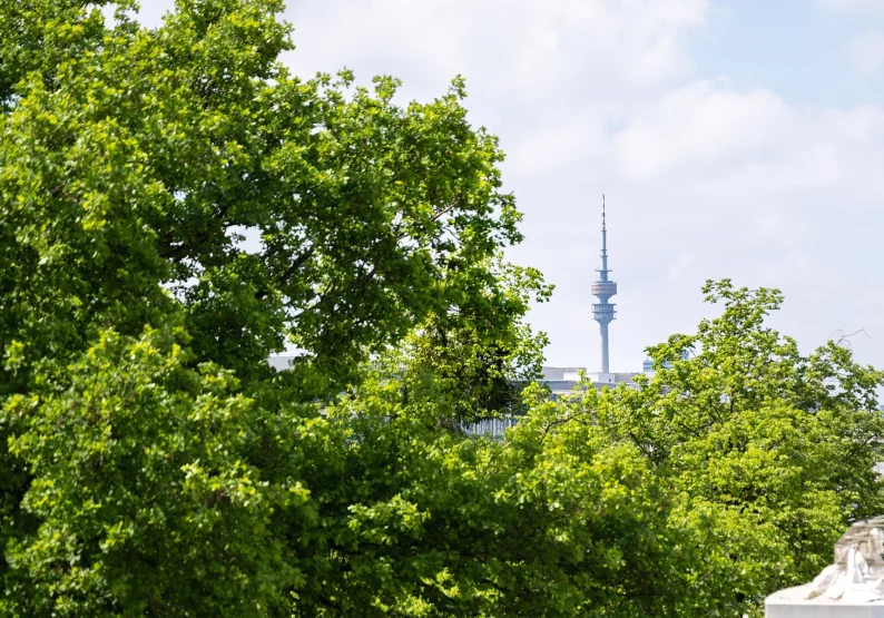 Ausblick Terrasse