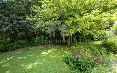 Garten/Grundstück